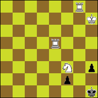 Шахматная задача №47989