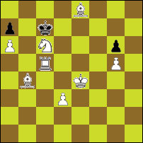 Шахматная задача №80007