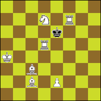 Шахматная задача №262835