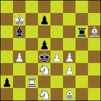 Шахматная задача №295133