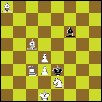 Шахматная задача №295228