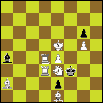 Шахматная задача №295229