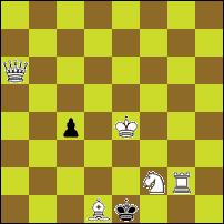 Шахматная задача №296321