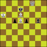 Шахматная задача №296348