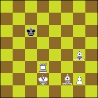 Шахматная задача №298845