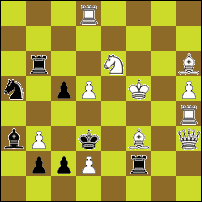 Шахматная задача №31876