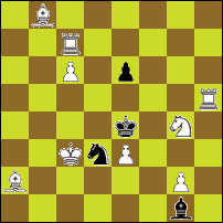 Шахматная задача №33049