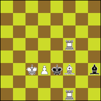 Шахматная задача №33146