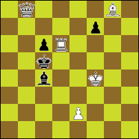 Шахматная задача №335
