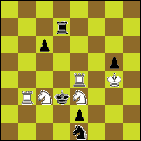 Шахматная задача №33839
