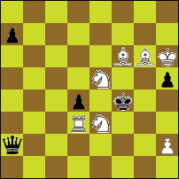 Шахматная задача №33845