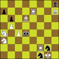 Шахматная задача №34013