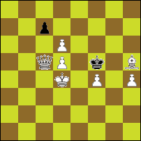 Шахматная задача №34303