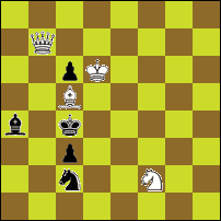 Шахматная задача №34389