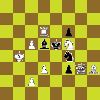 Шахматная задача №41876