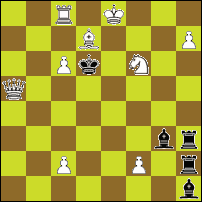 Шахматная задача №48028