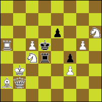 Шахматная задача №48117