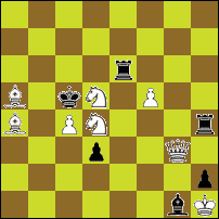 Шахматная задача №48597