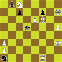 Шахматная задача №48701