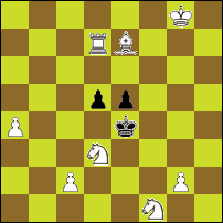 Шахматная задача №48717
