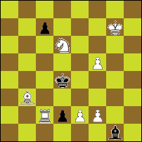 Шахматная задача №48862