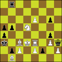 Шахматная задача №49019