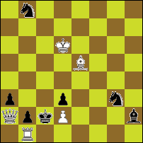 Шахматная задача №49043