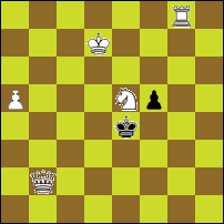 Шахматная задача №49077