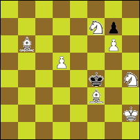 Шахматная задача №49111