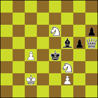 Шахматная задача №49262