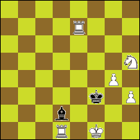 Шахматная задача №49397