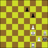 Шахматная задача №49841