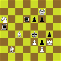 Шахматная задача №49843