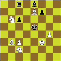 Шахматная задача №49871