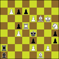 Шахматная задача №50013