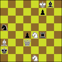 Шахматная задача №50113