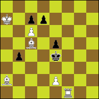 Шахматная задача №50137