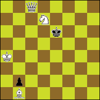 Шахматная задача №50215
