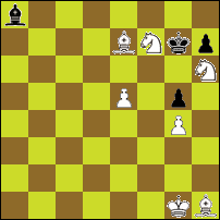Шахматная задача №60074