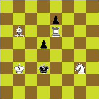 Шахматная задача №60101
