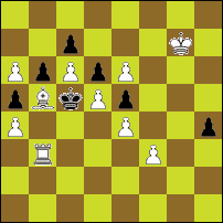 Шахматная задача №62033