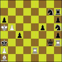 Шахматная задача №62235