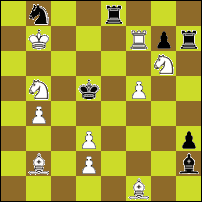 Шахматная задача №62253