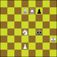Шахматная задача №62573