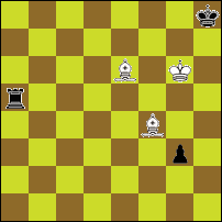 Шахматная задача №62623