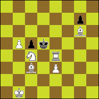 Шахматная задача №62733
