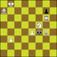 Шахматная задача №62838