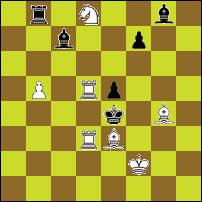 Шахматная задача №63029