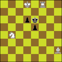 Шахматная задача №63098
