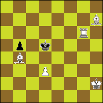 Шахматная задача №63764